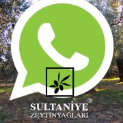 Sultaniye Zeytinyağları İletişim