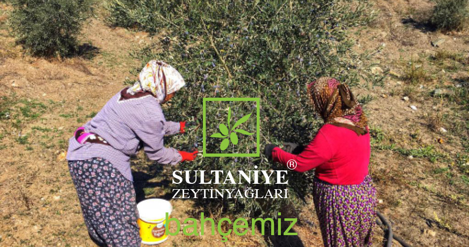 Selçuk İzmir Sultaniye