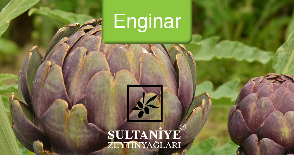 Enginar